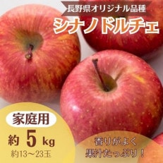 りんご シナノドルチェ 約5kg 家庭用(13玉〜23玉)