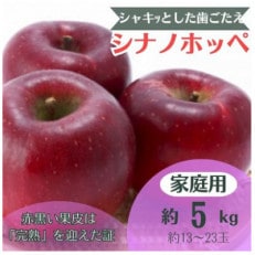 りんご シナノホッペ 約5kg 家庭用 (13玉〜23玉)