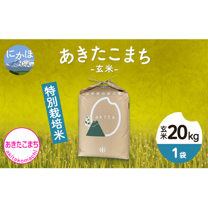 令和4年産 秋田県産 特別栽培米 あきたこまち20kg(20kg 1袋 玄米)