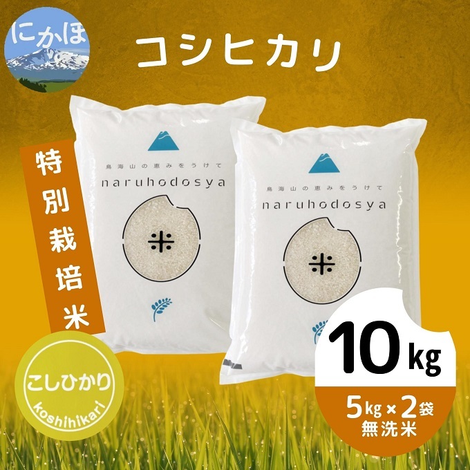 令和4年産 特別栽培米[無洗米]コシヒカリ 10kg(5kg×2袋)