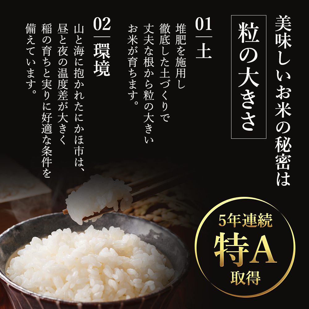 佐賀米 さがみのり 5キロ×1袋 - 米・雑穀・粉類