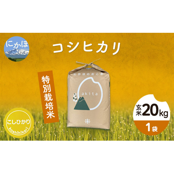 令和4年産 秋田県産 特別栽培米 コシヒカリ 20kg(20kg 1袋 玄米)