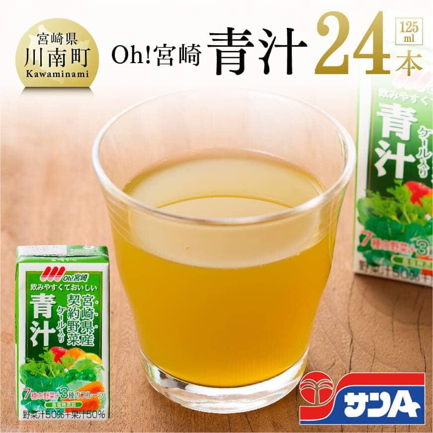 サンA青汁125ml×24本セット 野菜ジュース 飲料類 飲み物[F3012]