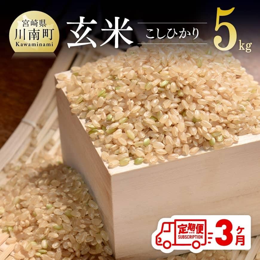 [3ヶ月定期便]令和5年産玄米こしひかり5kg 米 お米 新米 玄米