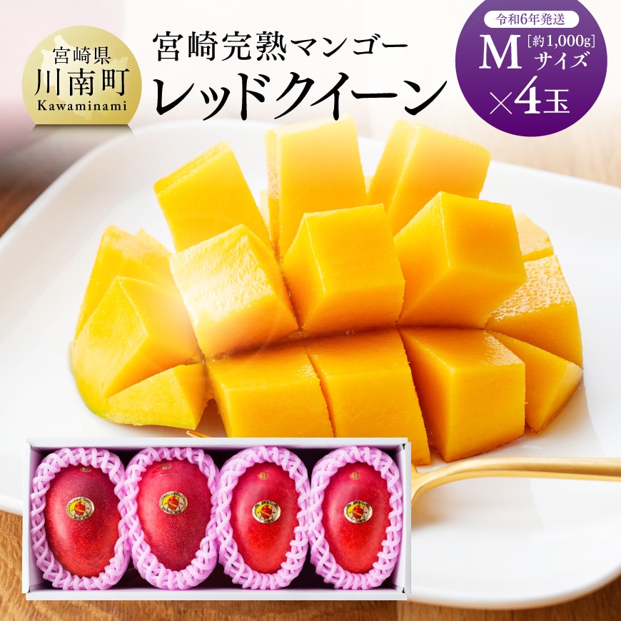 [ 令和6年発送 ] 宮崎県産完熟マンゴー 「 レッドクイーン 」 M×4玉 マンゴー 完熟マンゴー[E3212]