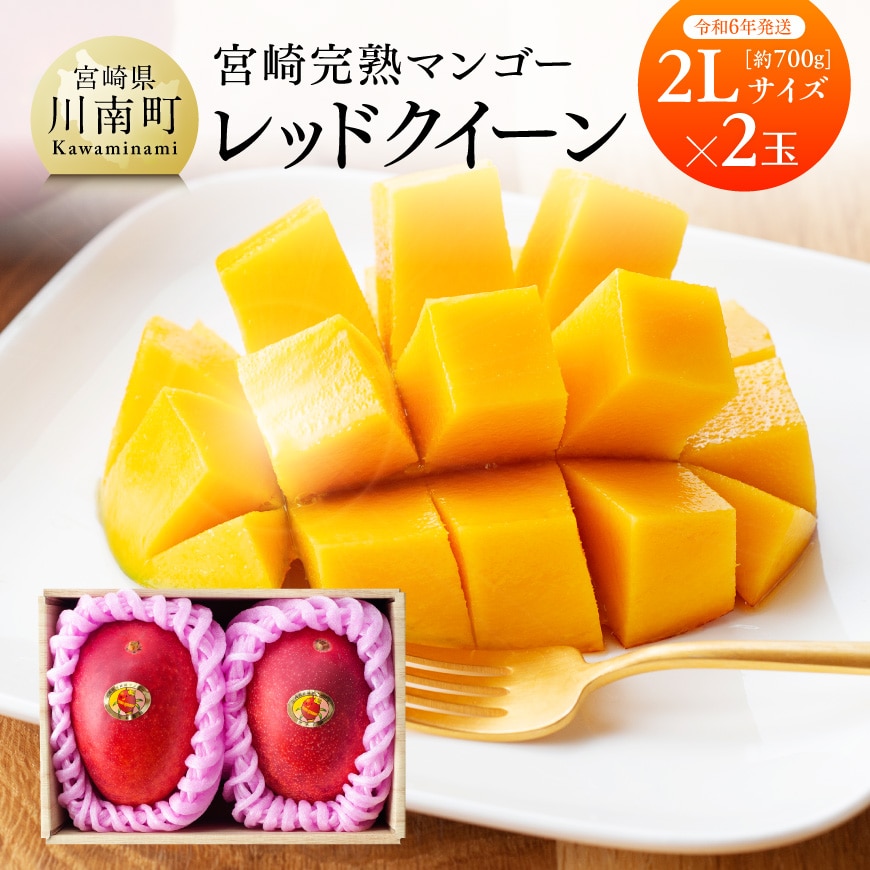 [ 令和6年発送 ] 宮崎県産完熟マンゴー 「 レッドクイーン 」 2L×2玉 果物 フルーツ マンゴー[E3207]