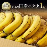 [訳あり]国産バナナ1kg 果物 くだもの フルーツ[F5802]