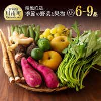 [おすず村直送]野菜と果物の厳選詰め合わせセット(小) 野菜 果物[G3801]