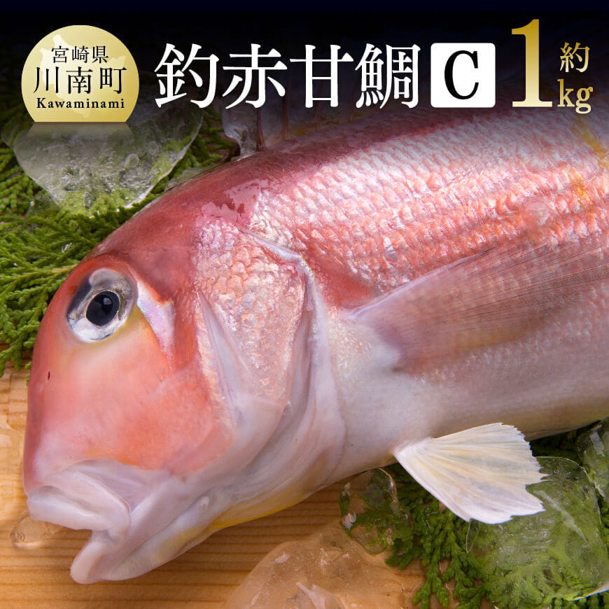 『釣赤甘鯛C』 鮮魚 魚介 魚[G4407]