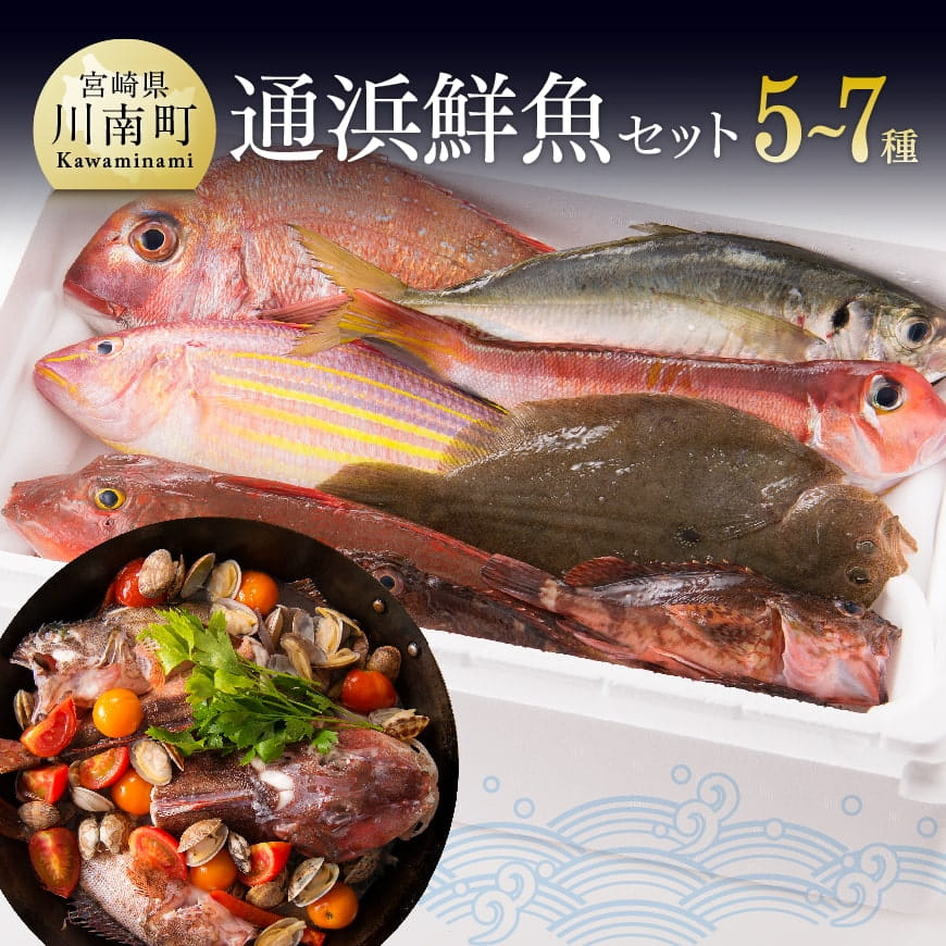 『日向灘海の幸』通浜鮮魚セット 鮮魚 魚介 魚[H1702]