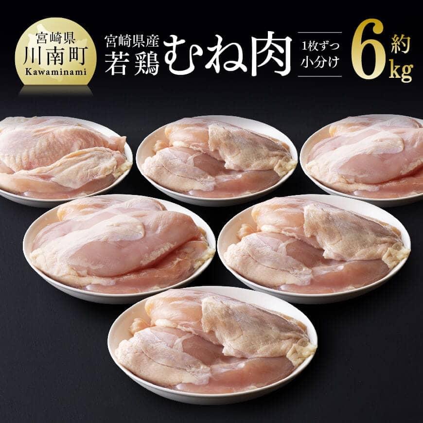 宮崎県産若鶏むね肉小分けで約6kg 鶏肉