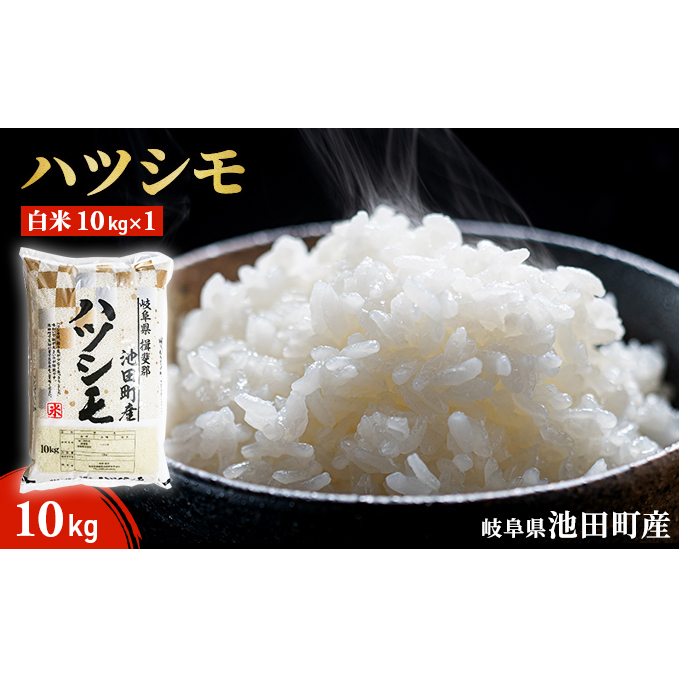 ハツシモ 玄米 10kg - 米・雑穀・粉類