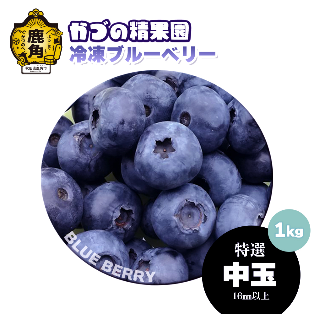 ブルーベリー (冷凍)特選 中玉 1kg[かづの精果園]