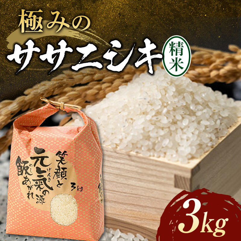 【令和6年産】先行予約 極みのササニシキ（精米）3kg×1袋 米 