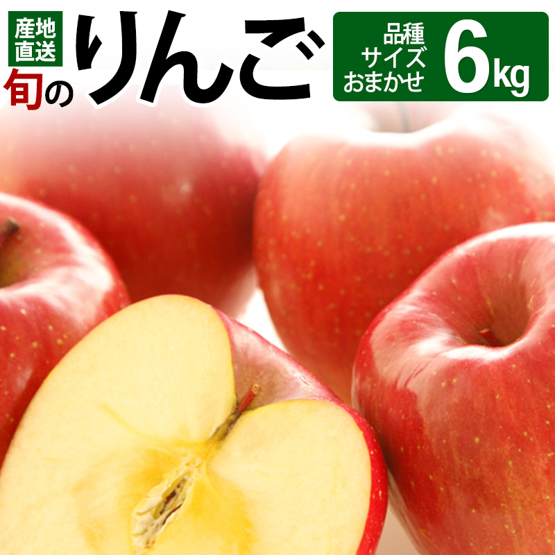 [先行受付]旬のりんご 6kg (品種、サイズおまかせ) 令和5年産 (11〜12月頃発送) ご自宅向け 産地直送 リンゴ 林檎 フルーツ