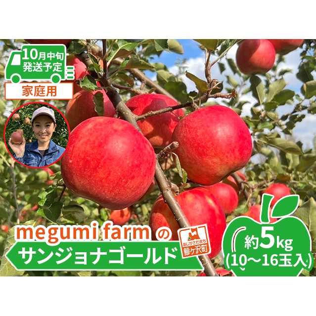 [10月中旬発送]青森県鰺ヶ沢町産りんご megumi farmのサンジョナゴールド 家庭用 約5kg(10〜16玉入)