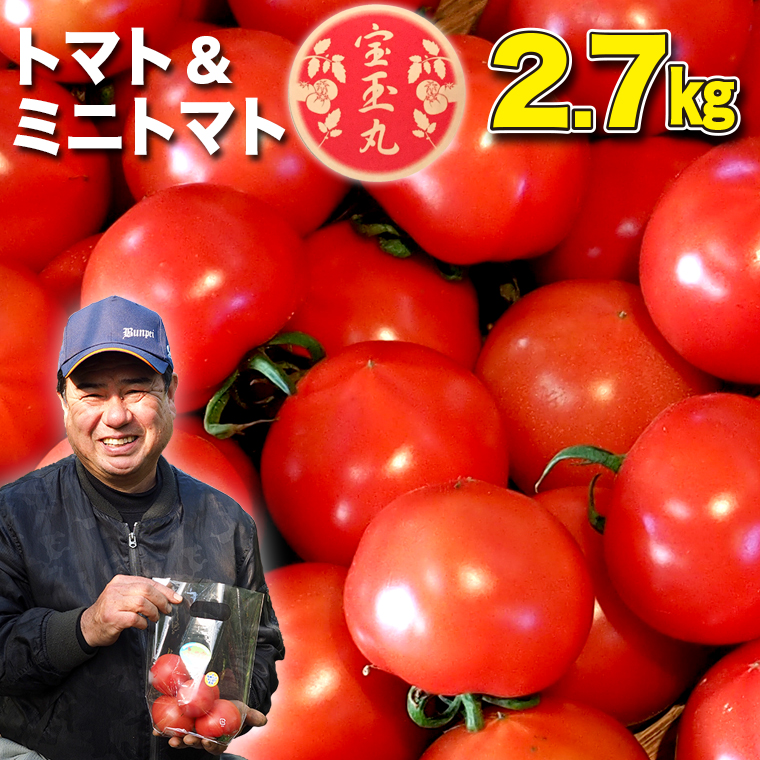[朝どり直送]高糖度トマト&ミニトマト「宝玉丸」2.7kg