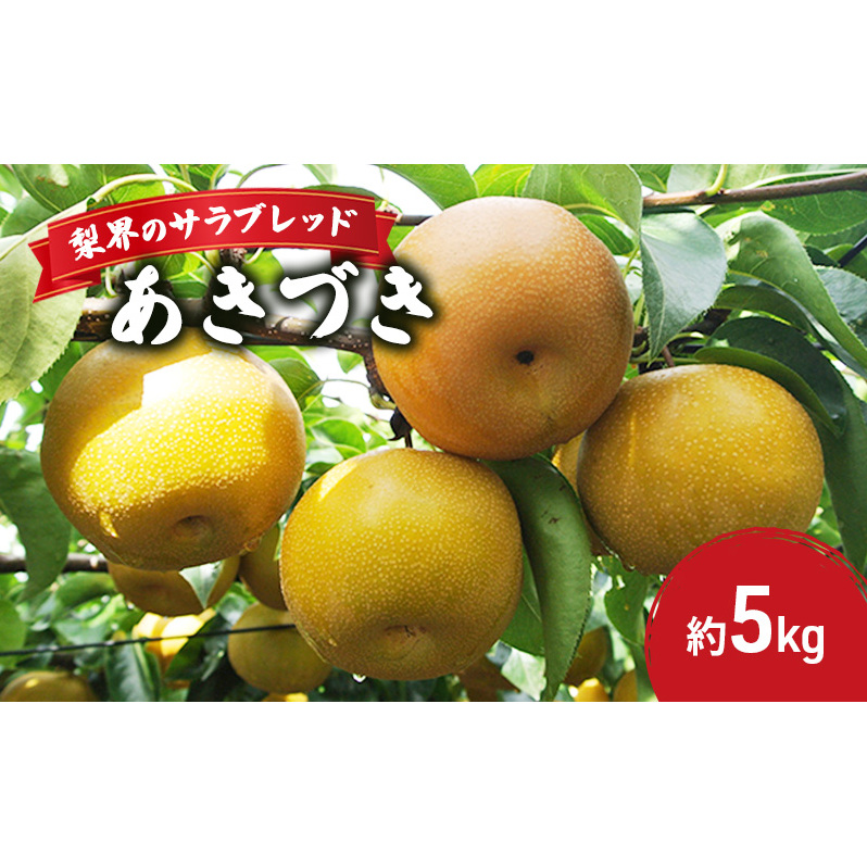 梨界のサラブレッド あきづき(5kg)