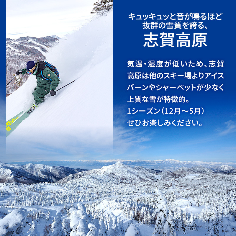 長野県 共通リフト1日券 2枚 - スキー場