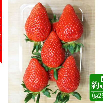 [東吾妻町産]いちご やよいひめ 約250g×2パック 果物 ストロベリー フルーツ デザート 甘味が強い 酸味まろやか 国産 直送 産地直送
