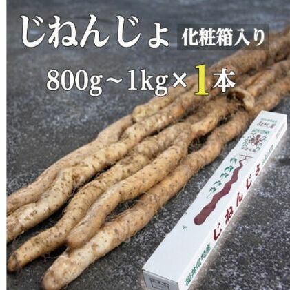 自然薯 800g〜1kg×1本 化粧箱入