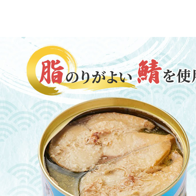 サバ缶 若狭の鯖缶 24缶 セット 水煮 鯖缶 さば サバ 鯖 缶 缶詰 魚
