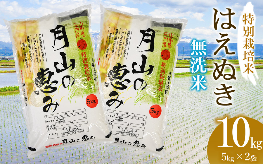 無洗米」の検索結果 | JR東日本が運営【JRE MALLふるさと納税】