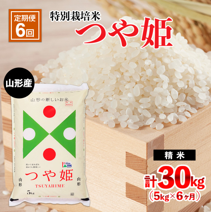 【定期便6回】山形産 特別栽培米 つや姫 5kg×6ヶ月(計30kg) FZ21-332