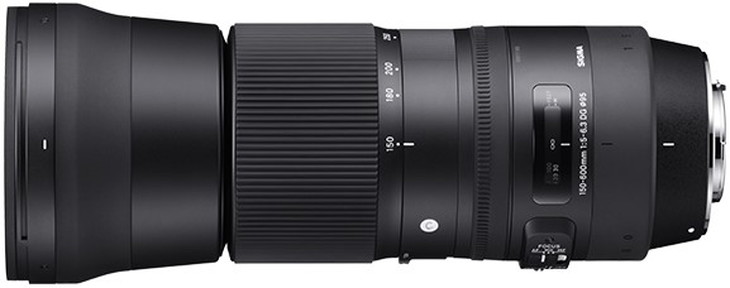 カメラ レンズ 家電 SIGMA 150-600mm F5-6.3 DG OS HSM | Contemporary(数量限定)[ニコンFマウント]