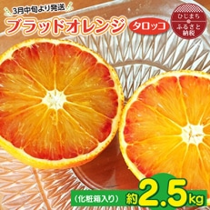 2024年3月下旬より発送 ブラッドオレンジ(タロッコ)2.5kg(11玉〜20玉) 化粧箱入り