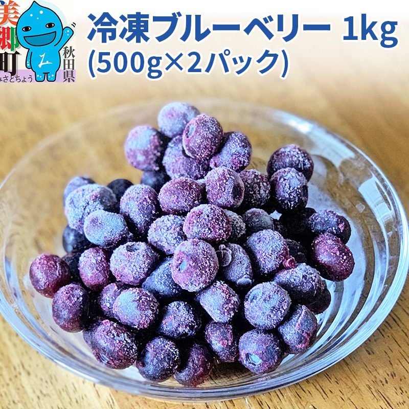 くろかわ農園 冷凍ブルーベリー 1kg（500g×2パック）