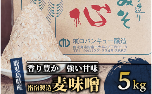 鹿児島県指宿製造の麦味噌5kg(コバンキュー醸造/A-432)