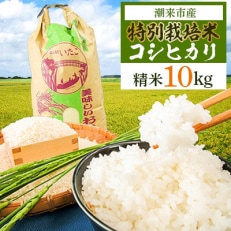 2024年3月発送開始『定期便』特別栽培米コシヒカリ精米10kg全3回