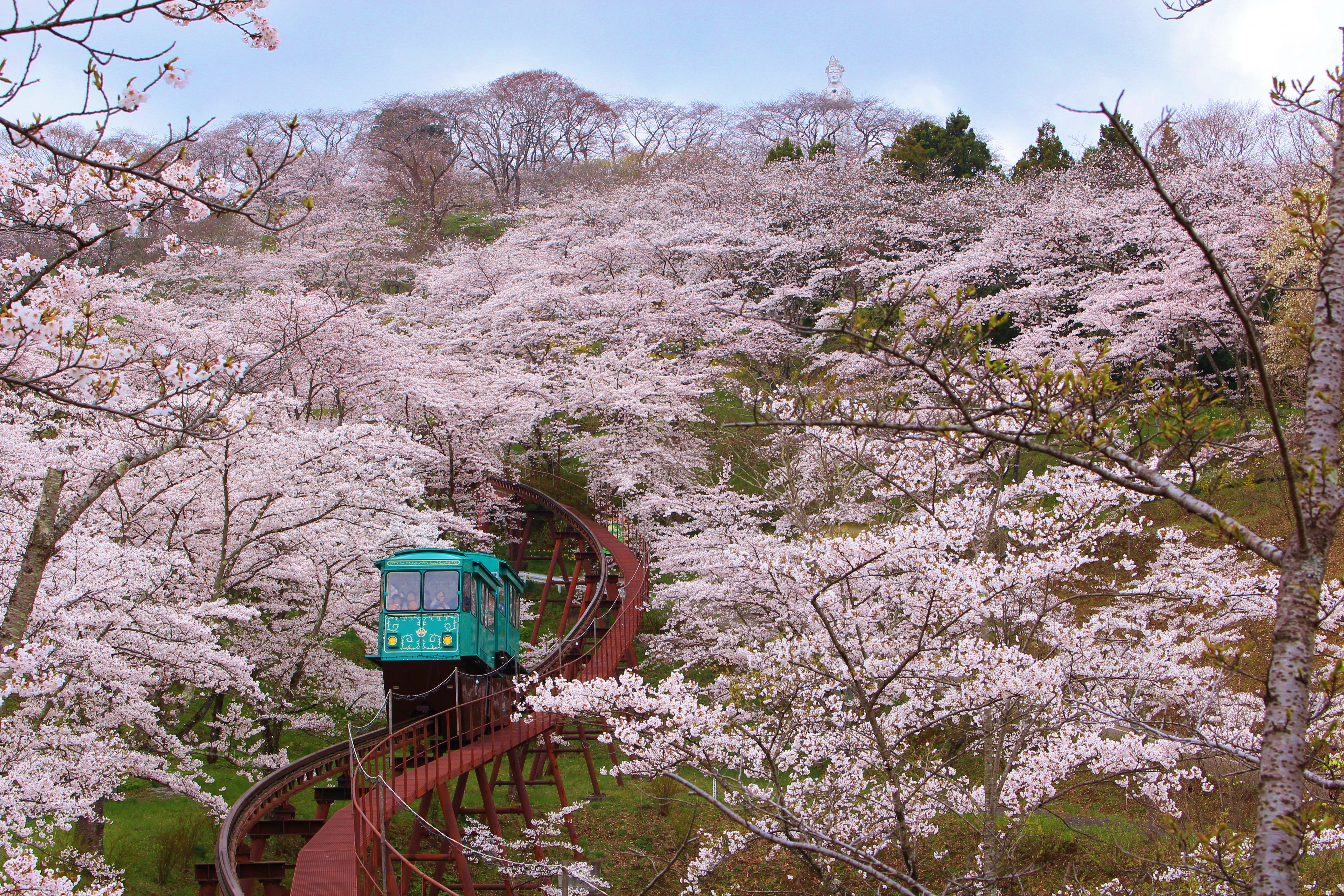 “桜のトンネル”を行くスロープカー整備等に関する事業