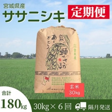 2023年10月発送開始『定期便』宮城県登米市産ササニシキ(玄米)30kg 全6回