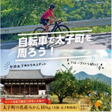 自転車で行こう!太子町の歴史と旬なフルーツ巡り〜温州みかんお土産付〜 参加チケット