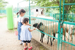（7）子どもたちの笑顔があふれ、未来につながる生物多様性の動物園再生プロジェクト