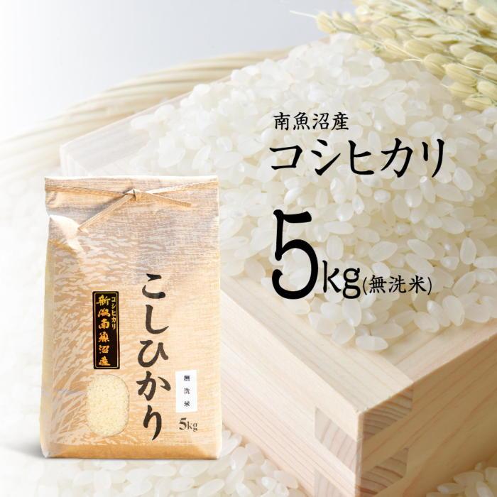 こしひかり 新潟県産 2kg 令和5年 米 お米 単一原料米