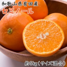 和歌山有田産セミノールオレンジ約5kg(サイズ混合) [九度山町]