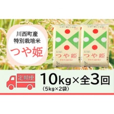 2023年10月発送開始『定期便』川西町産 特別栽培米「つや姫」精米10kg(5kg×2袋)全3回