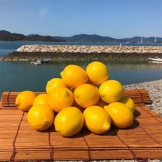青いレモンの島 レモン約3kg