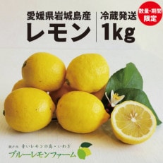 愛媛 ブルーレモンファームのレモン 1kg[冷蔵便]期間・数量限定[配送不可地域:離島]