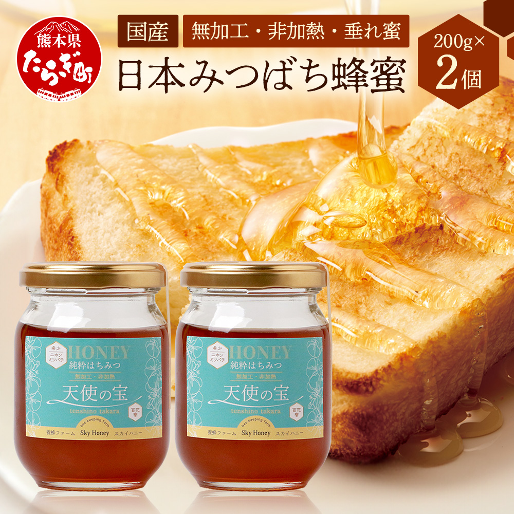 日本みつばち 蜂蜜「天使の宝」2個 セット 希少 ニホンミツバチ 100% はちみつ 高純度 高濃度 垂れ蜜 ハチミツ ジャム 無添加 094-0003