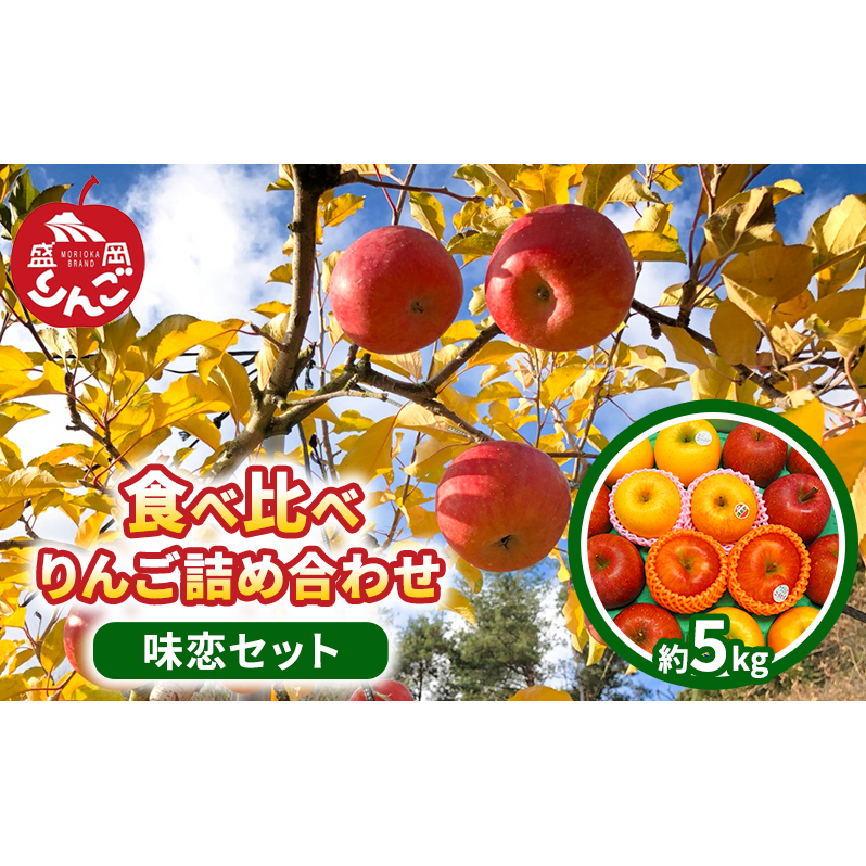 朝島観光りんご園 食べ比べ りんご詰め合わせ「味恋セット」約5kg