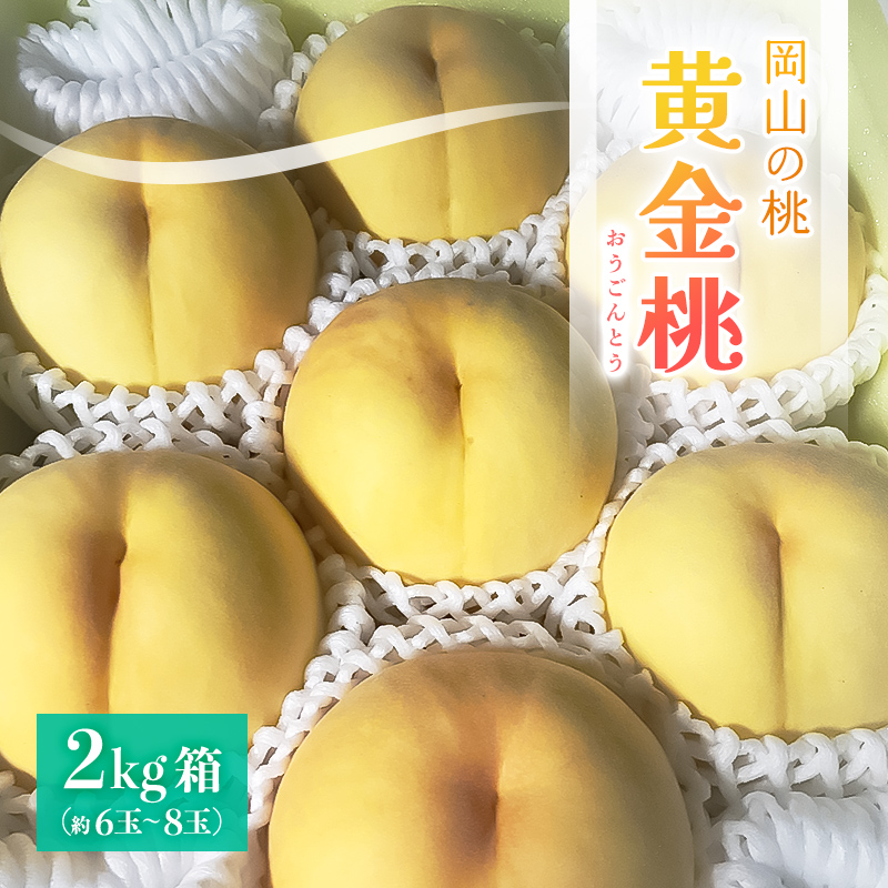 [2024年8月上旬より順次発送予定]岡山県産・マンゴーの様な黄色い桃・黄金桃(2kg箱)[配送不可地域:離島]