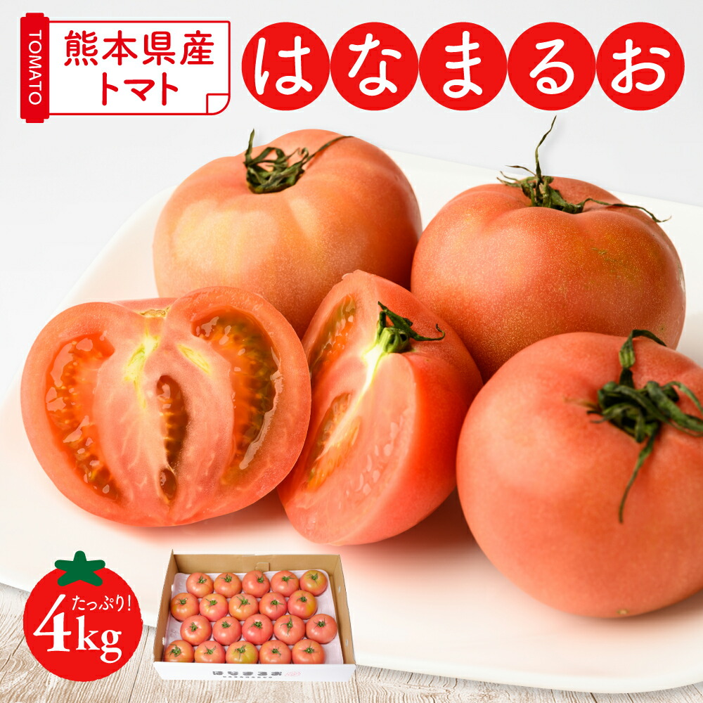 [先行予約]熊本県産 ミニトマト はなまるお 4kg[2023年11月上旬より順次発送予定]
