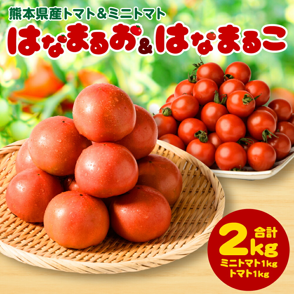 [先行予約]熊本県産トマト 1kg & ミニトマト 1kg 合計2kg はなまるお & はなまるこ [2023年11月上旬より順次発送予定]