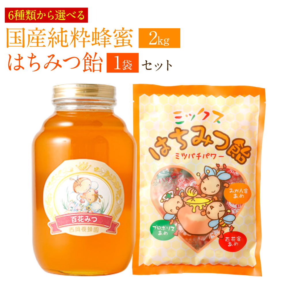 [選べる蜂蜜] 国産 純粋 晩白柚蜂蜜 2kg 蜂蜜あめ 1袋 はちみつ