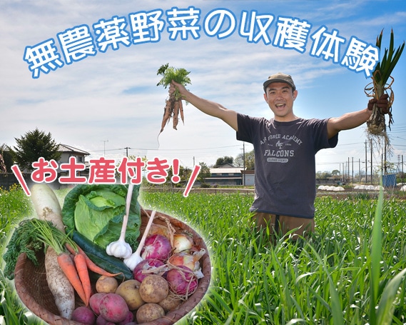 東京近郊の畑で無農薬野菜の収穫体験（1組分）