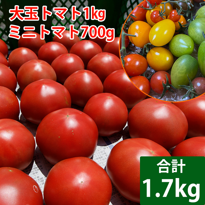 CD-011-B [八幡平産]こだわりトマト詰め合せセット(大玉1kg/ミニトマト700g) / 田村和大